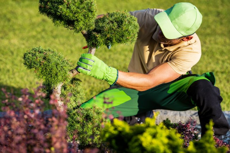 Trimmed Shrubs for Curb Appeal