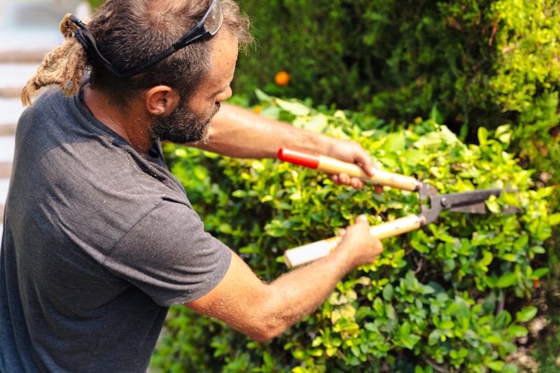 Landscaper Using Pruning Tools